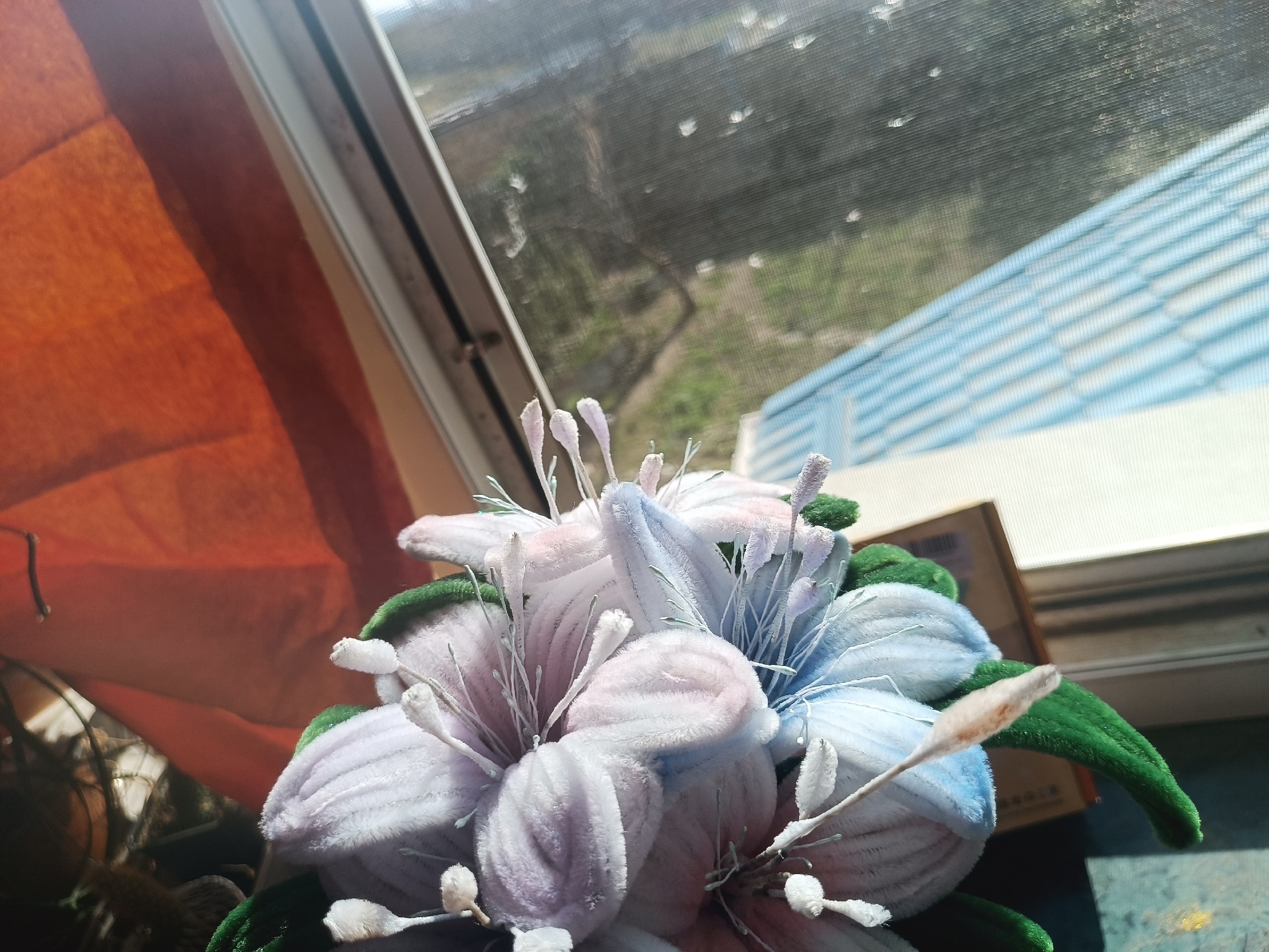 Фото 4